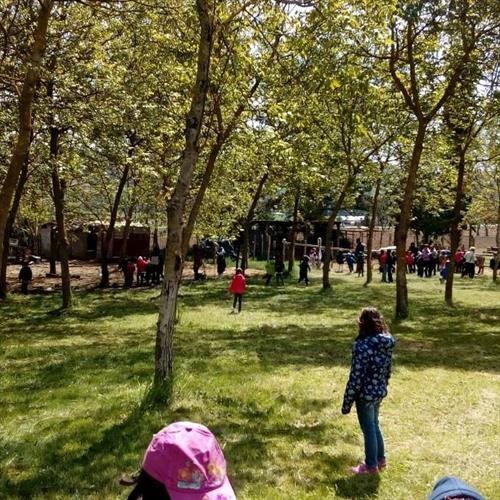 La tua uscita didattica in fattoria