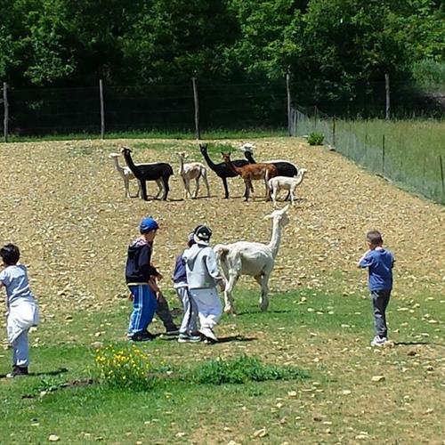 Bimbi in fattoria 2014