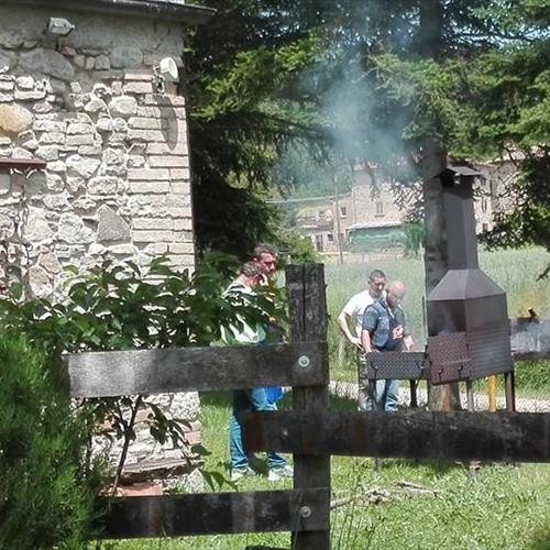 Il giardino di Mielisa