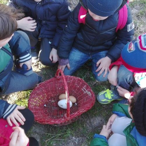 Bimbi in fattoria 2017 
