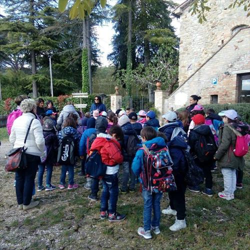 Bimbi in fattoria 2017 