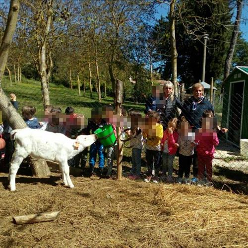 Bimbi in fattoria 2017 