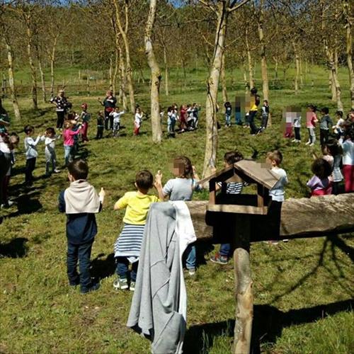 Bimbi in fattoria 2017 