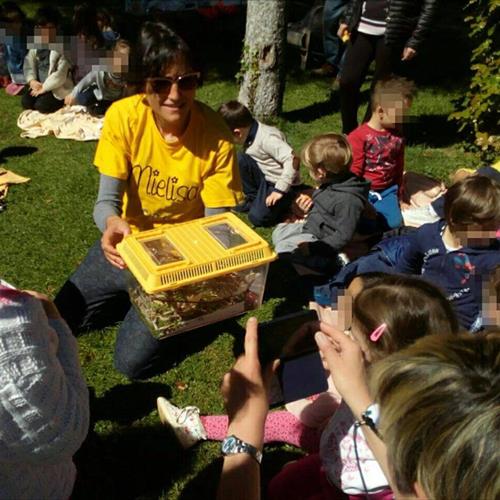 Bimbi in fattoria 2017 
