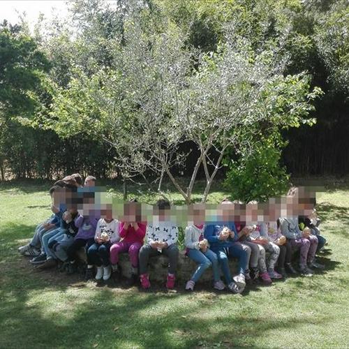 Bimbi in fattoria 2017 