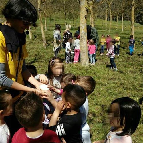 Bimbi in fattoria 2017 