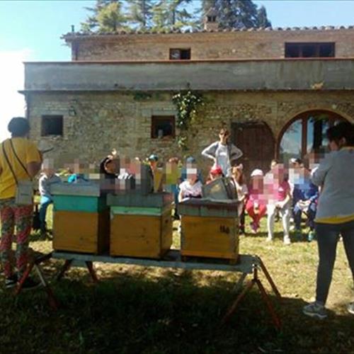 PROGETTO APICOLTURA TECNICA 2017