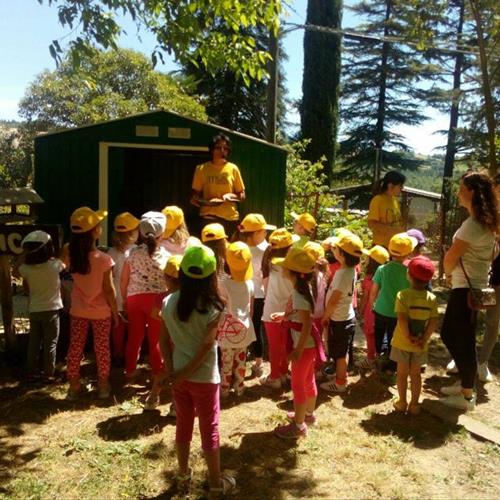 Bimbi in fattoria 2017 