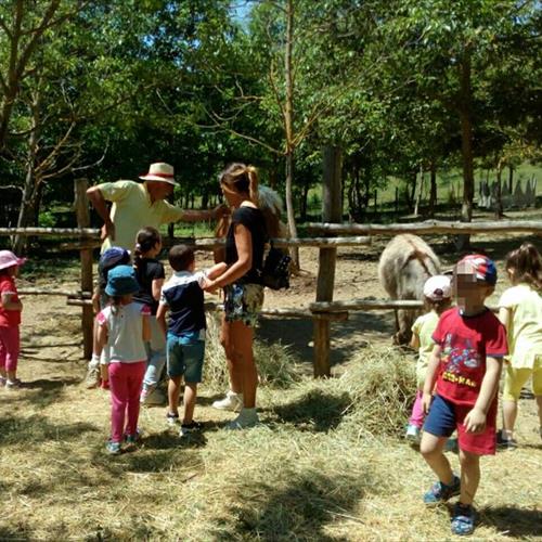 Bimbi in fattoria 2017 