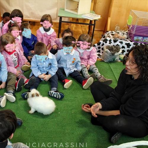 Gli animali della fattoria a scuola 2018
