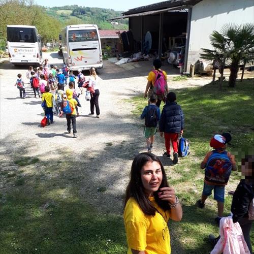 Bimbi in fattoria 2018