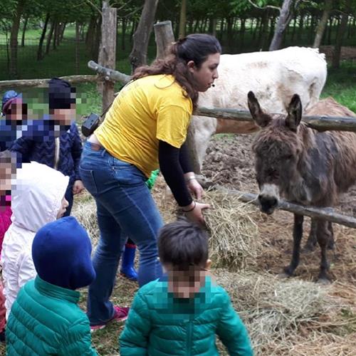 Bimbi in fattoria 2018