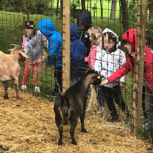 Bimbi in fattoria 2018