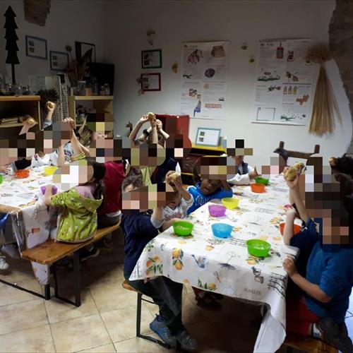 Bimbi in fattoria 2018