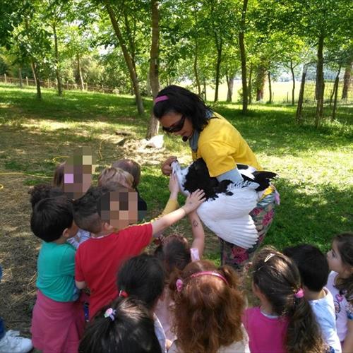 Bimbi in fattoria 2018
