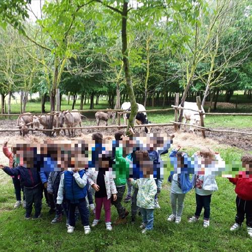 Bimbi in fattoria 2018