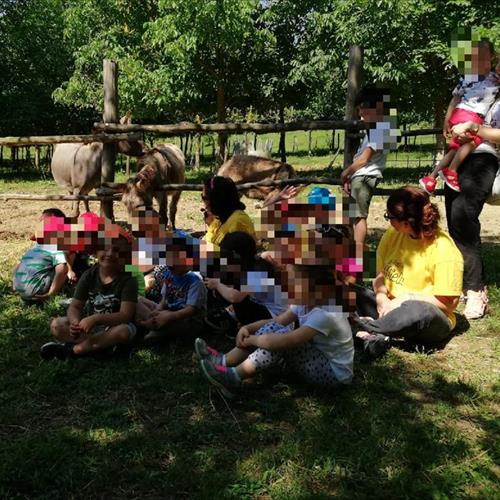 Bimbi in fattoria 2018