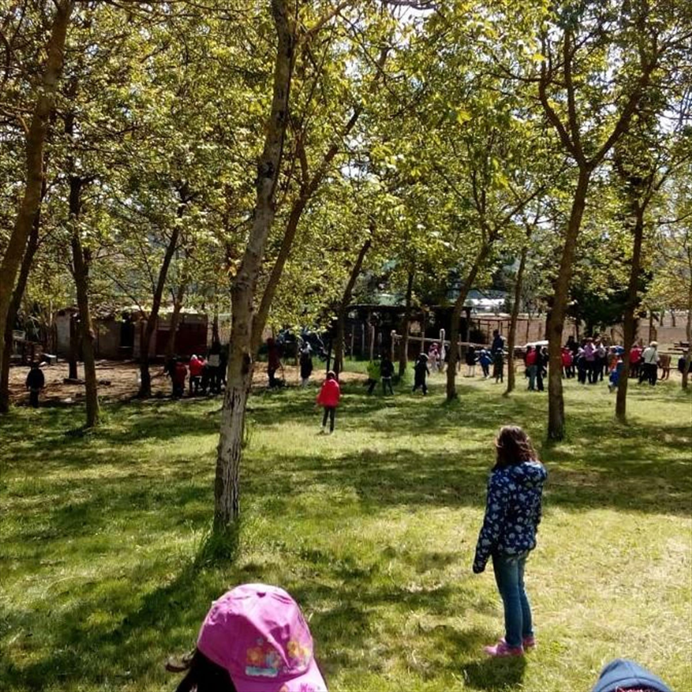 Uscite didattiche in fattoria